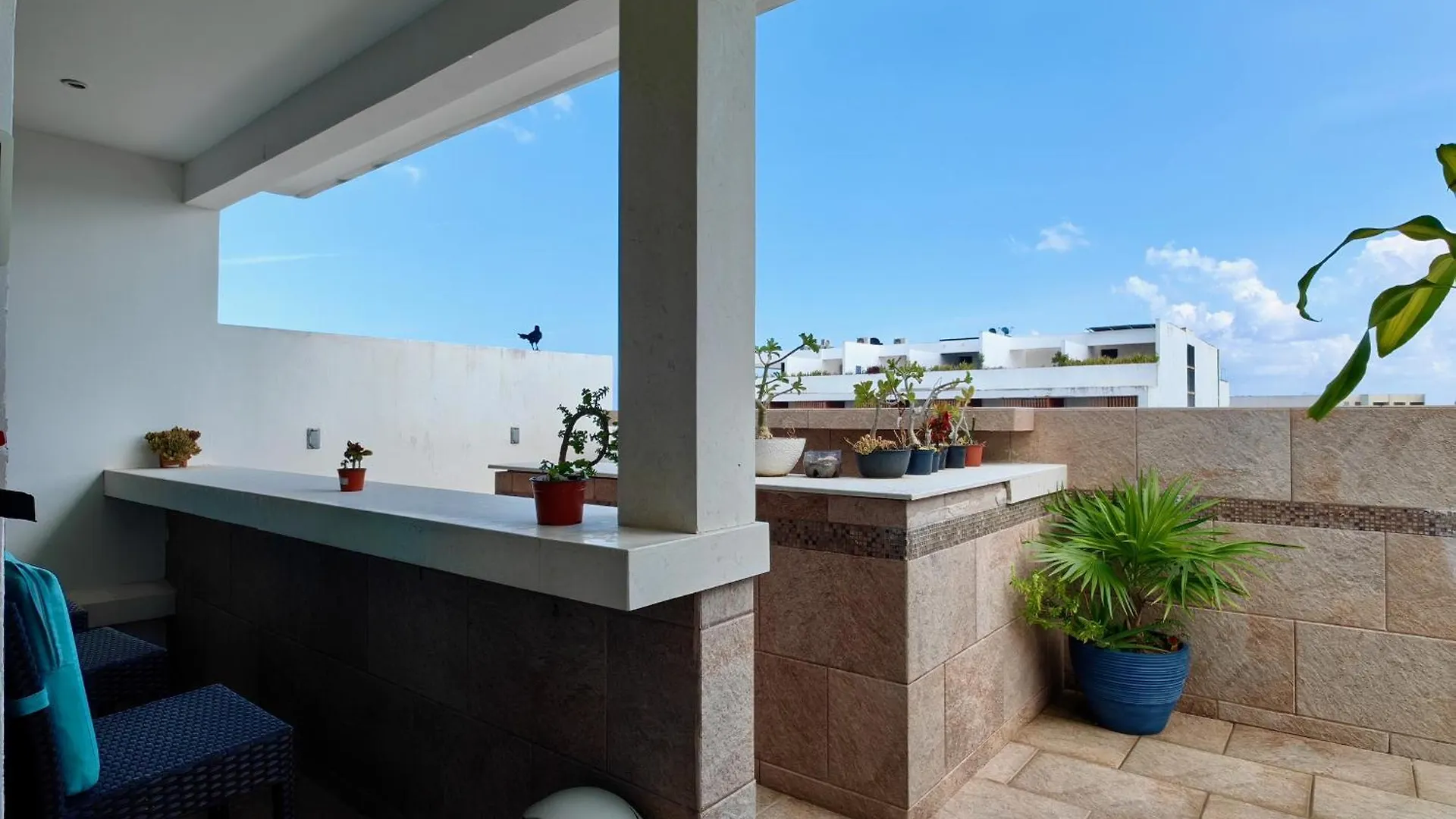 Apartmán 5Th Coral Suite By Bookking Guys Playa del Carmen